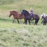 Agroturystyka Sianowo *