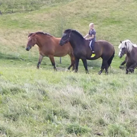 Agroturystyka Sianowo *