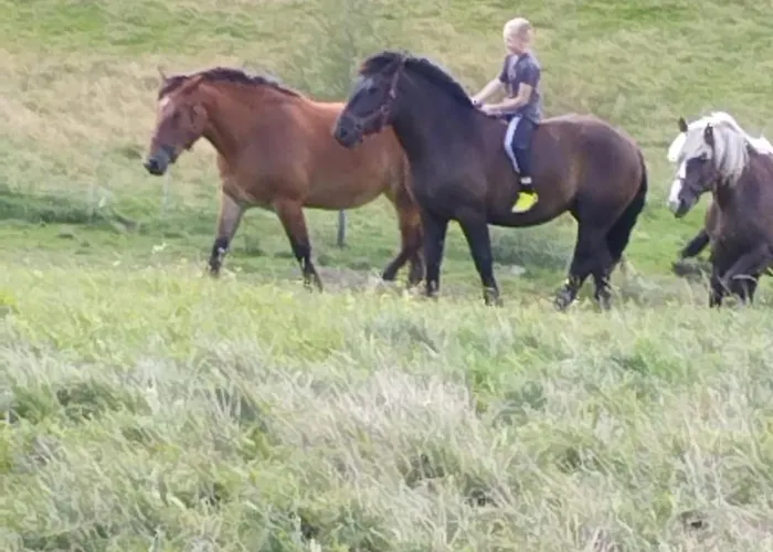 Agroturystyka Sianowo *